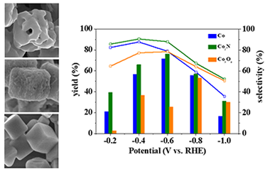 Porous Iron- and Cobalt-based Single Crystals with Enhanced Electrocatalysis Performance 2011-2745